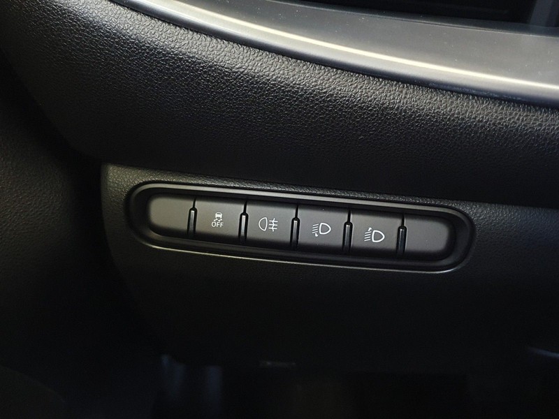 20 - Fiat 500 500e icon +