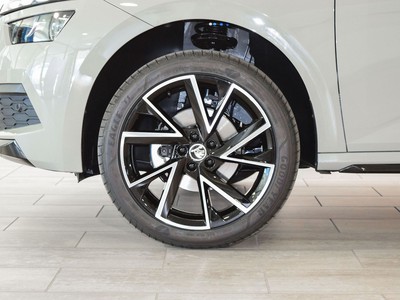 Skoda Kamiq 1.0 tsi monte carlo 110cv - 14