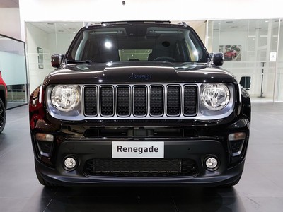 Jeep Renegade 1.3 t4 phev trailhawk 4xe at6 - 6