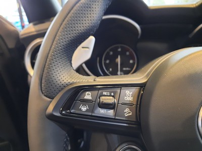 Alfa Romeo Stelvio 2.2 t veloce q4 210cv auto - 12