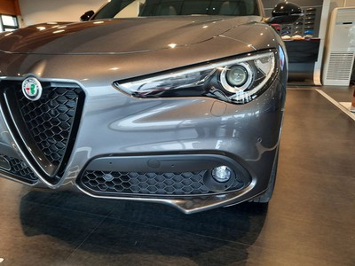 Alfa Romeo Stelvio 2.2 t veloce q4 210cv auto - 16
