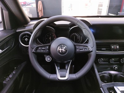 Alfa Romeo Stelvio 2.2 t super business rwd 160cv auto - 10