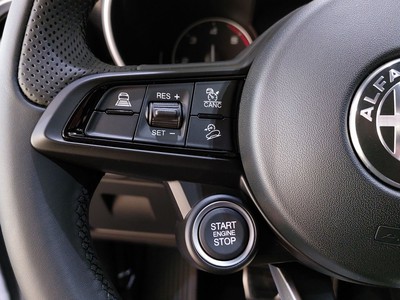 Alfa Romeo Stelvio 2.2 t super business rwd 160cv auto - 17