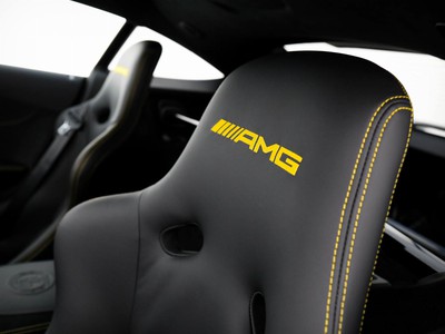 AMG GT 4.0 r auto my19 - 21