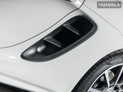 Porsche Cayman 2.0 300cv - 10